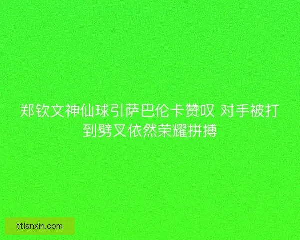 郑钦文神仙球引萨巴伦卡赞叹 对手被打到劈叉依然荣耀拼搏